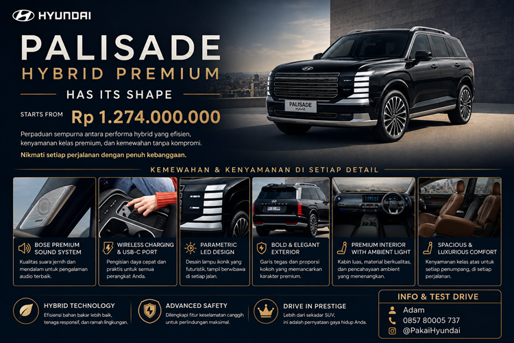 PROMO PALISADE Banner Website